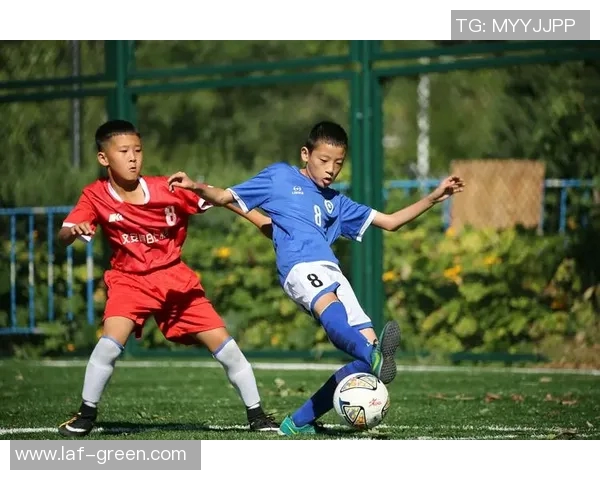 克莱尔足球明星之路：从草根到国际赛场的辉煌历程