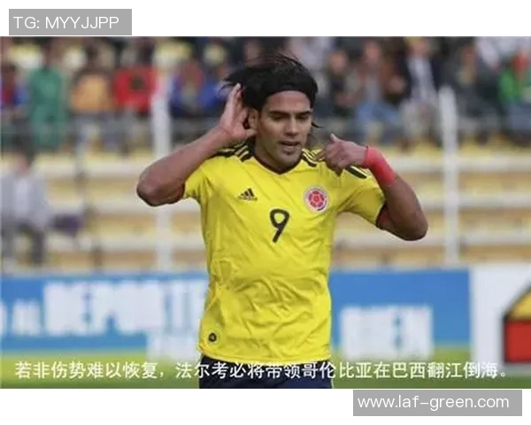 巴西足球明星后腰位置的杰出代表与他们的辉煌成就分析