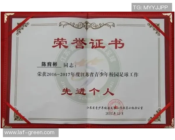 足球明星荣誉证书图片展示与解读助你了解他们的辉煌成就与职业生涯
